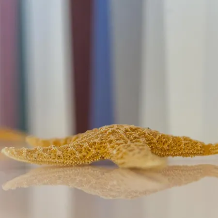 A בית הארחה סורנטו