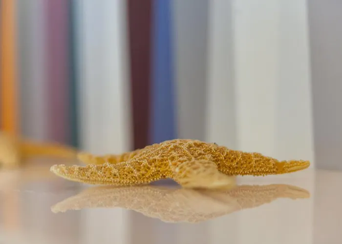 A بيت ضيافة سورينتو